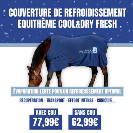 MobFR1 Couv Equit